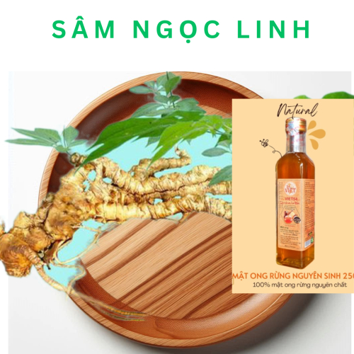 Sâm Ngọc Linh Ngâm Mật Ong Có Tác Dụng Gì?