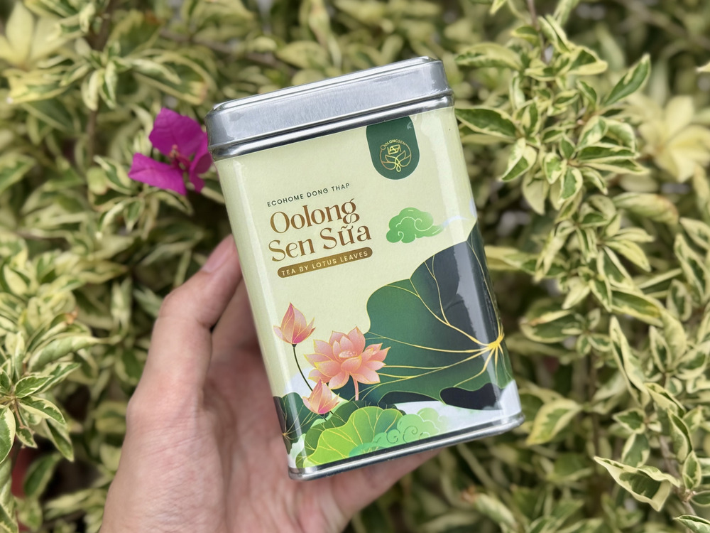 Giới thiệu sản phẩm