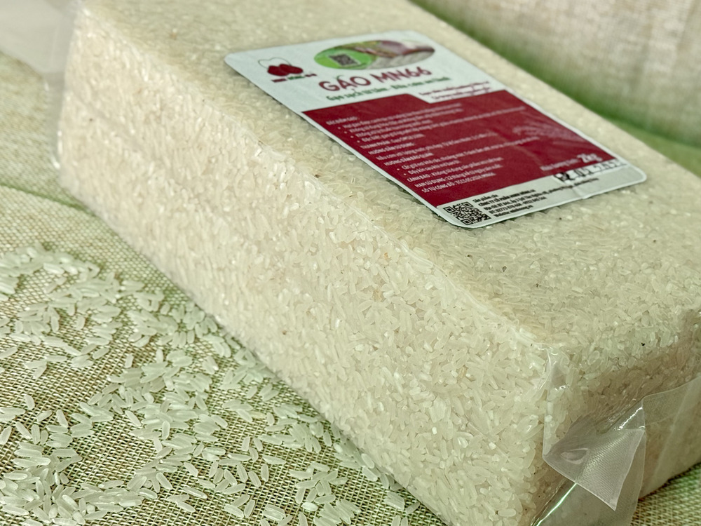 Đặc điểm Gạo MN 66