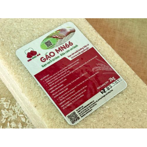 Gạo MN66 Túi 2kg