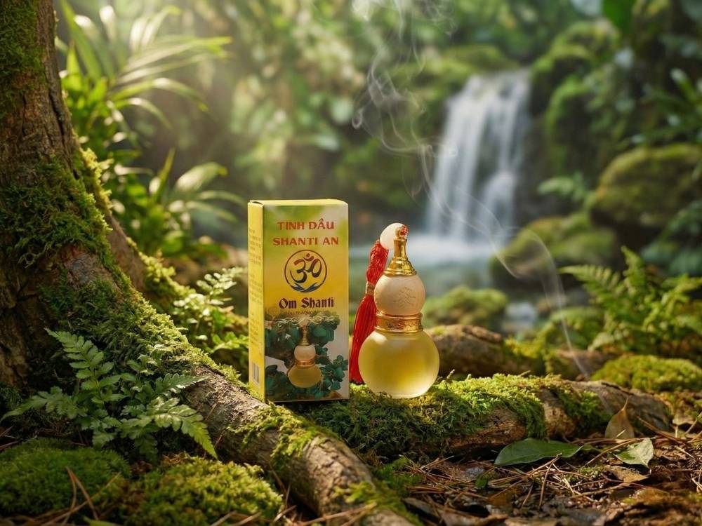 Hướng dẫn sử dụng