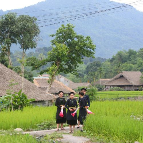 Dân Tộc Tày