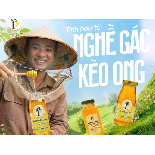 THANH PHU Melaleuca Blossom Honey – Pure Forest Honey from U Minh Thuong