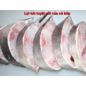 Lợi ích của cá bớp