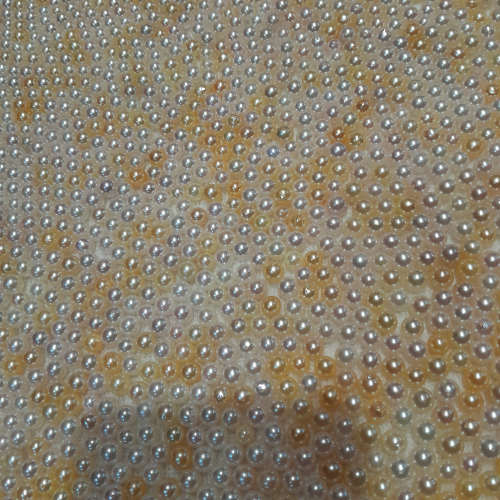 Ngọc Trai Nước Mặn Akoya (Size 6mm - 7mm)