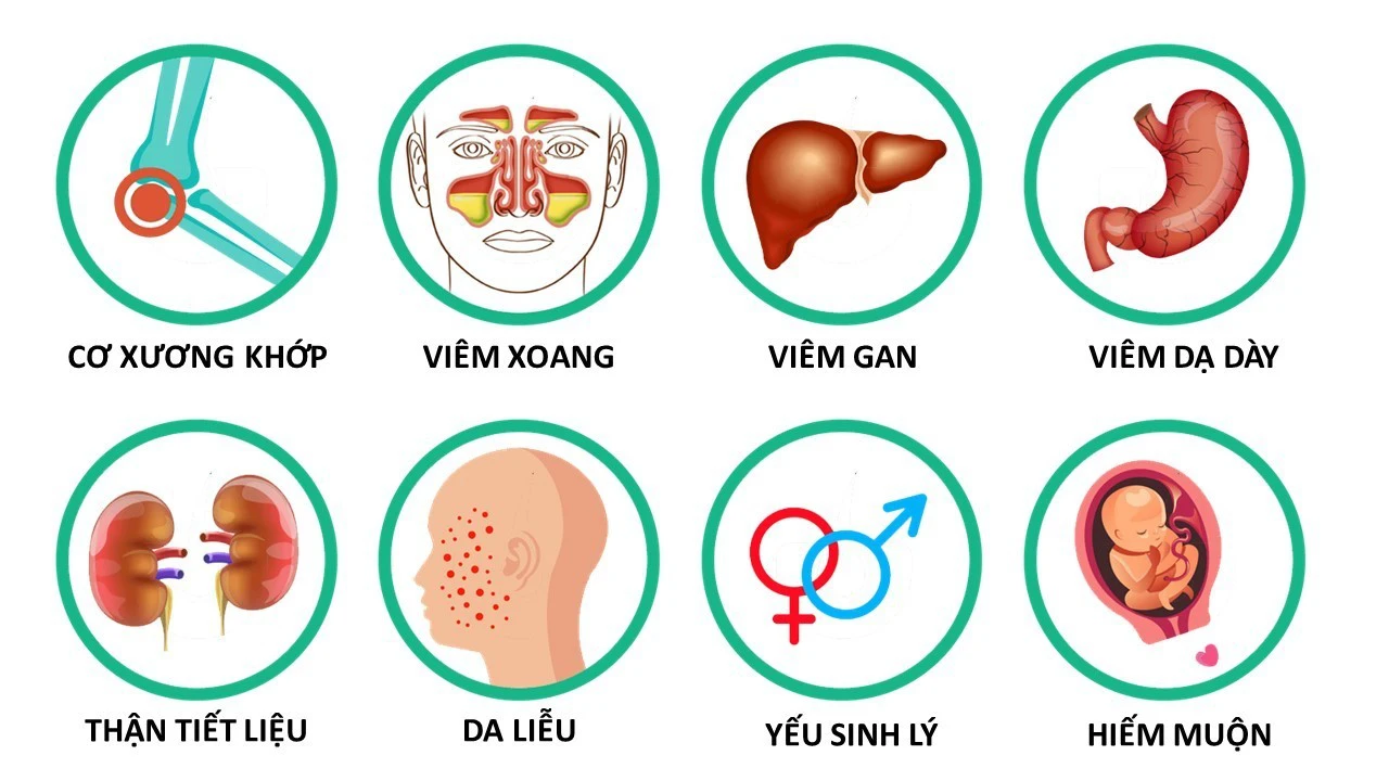 Các bệnh điều trị hiệu quả
