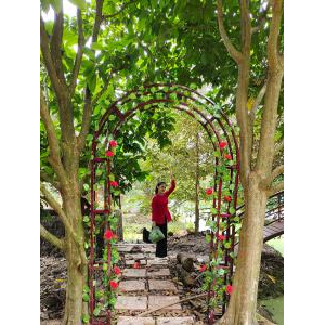 Ấn Tượng Đọng Lại Khi Đến Đây Chính Là Sự Trù Phú Của Một Hệ Sinh Thái Thu Nhỏ Miền Tây Nam Bộ