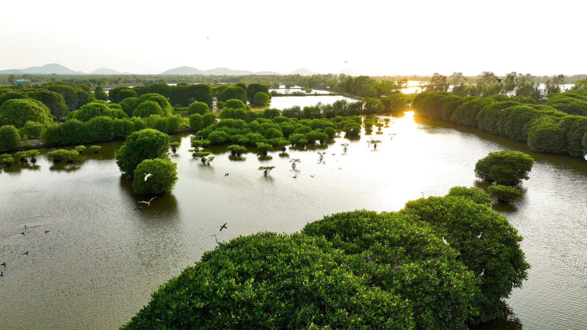 Vùng đất giao thoa nước ngọt – nước mặn hiếm có ở Việt Nam