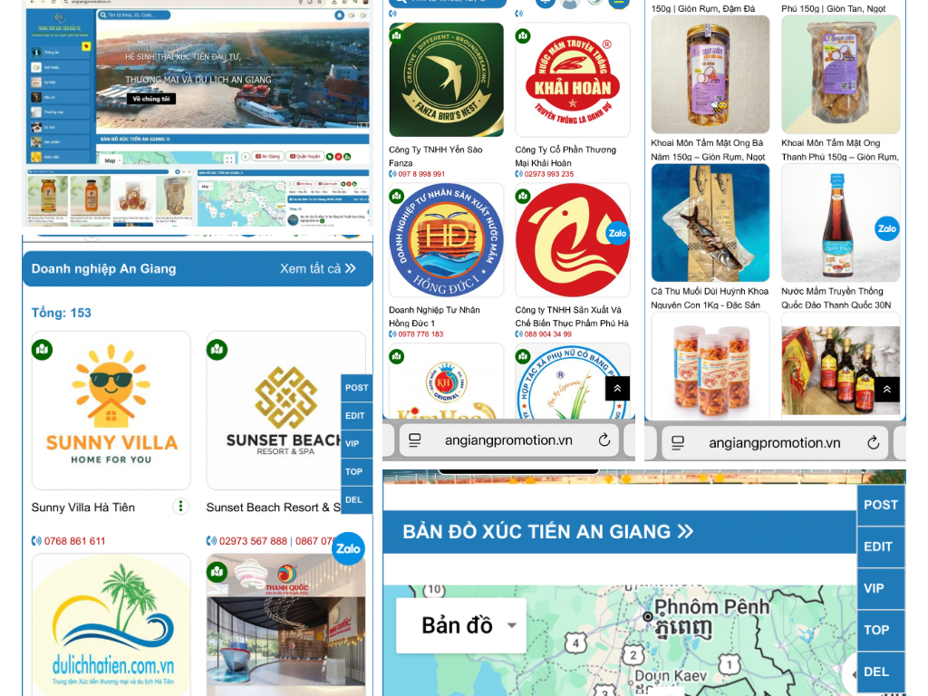 Xúc tiến Thương mại & Hỗ trợ Doanh nghiệp: